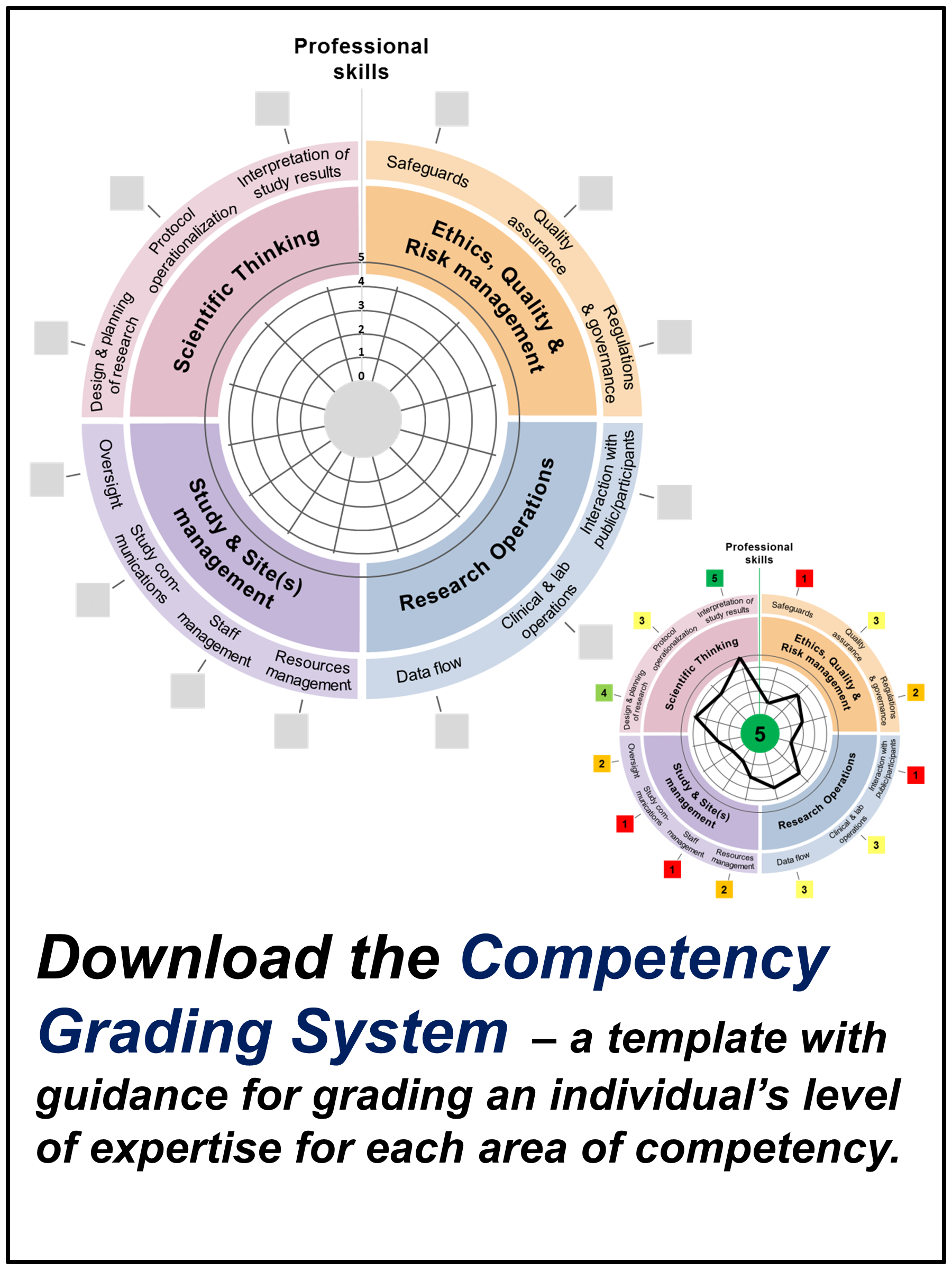global competency framework for research